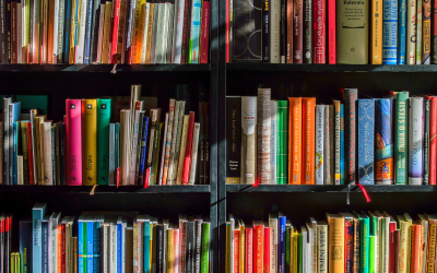 The power of lateral reading